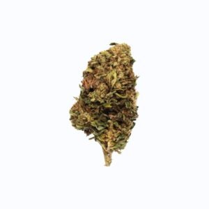 Orange Bud CBD